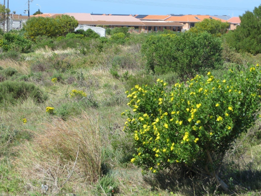 0 Bedroom Property for Sale in Fountains Estate Eastern Cape